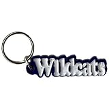 Kentucky Wildcats Silver WILDCATS Mirror Key Chain W/Blue Backing