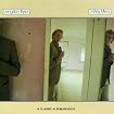 3 - Way Mirror