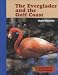 The Everglades and the Gulf Coast (Ecosystems of North America)