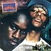 The Infamous [VINYL]