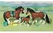 Revell 26051 - Clydesdale Rotbraun - Pferdefamilie