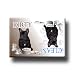 French Bulldog Dishwasher Magnet No 2