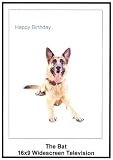 The Bat: 16x9 widescreen TV.: Greeting Card: Happy Birthday.
