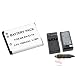 Everydaysource AC Plug Battery Charger+EN-EL 19 Battery Compatible With Nikon CoolPix S2500 S3300 S4300