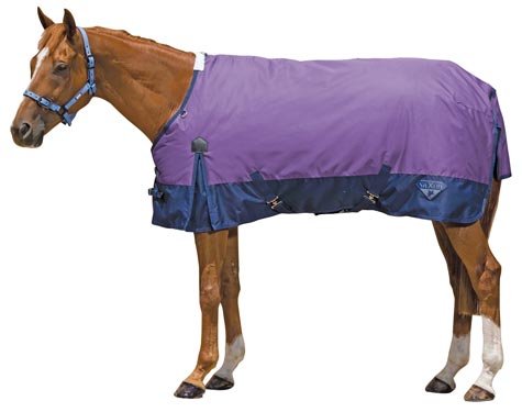 WeatherBeeta Saxon 600 Medium Turnout Blanket Purple with Navy Size 81