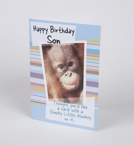 Stripe Monkey Son Card