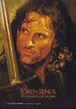 Lord of the Rings 1: The Fellowship of the Ring Movie Poster (11 x 17 Inches - 28cm x 44cm) (2001) Style L -(Elijah Wood)(Ian McKellen)(Liv Tyler)(Viggo Mortensen)(Sean Astin)(Cate Blanchett)