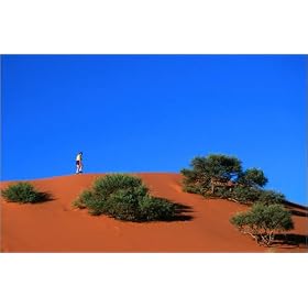 photographie "Elim Dune", desert vegetation on the dune slopes, Namib-Naukluft Desert Park est di...