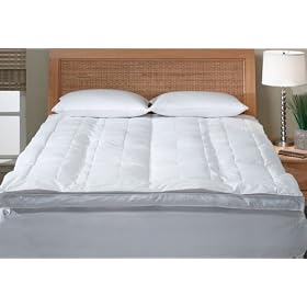 Pinzon Quilted Top Feather Bed