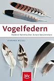 Vogelfedern: Federn heimischer Arten bestimmen