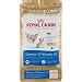 siamese8 - Royal Canin Feline Breed Nutrition Siamese 38