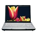 Toshiba Satellite X205-SLI5 17-inch Laptop (2.4 GHz Intel Core 2 Duo T8300 Processor, 3 GB RAM, 320 GB Hard Drive, DVD Drive, Vista Premium)