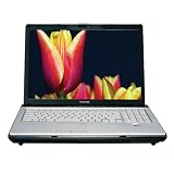 Toshiba Satellite X205-SLI5 17" Laptop (2.4 GHz Intel Core 2 Duo T8300 Processor, 3 GB RAM, 320 GB Hard Drive, DVD Drive, Vista Premium)