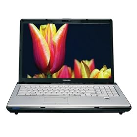 Toshiba Satellite X205-SLI5 17" Laptop (2.4 GHz Intel Core 2 Duo T8300 Processor, 3 GB RAM, 320 GB Hard Drive, DVD Drive, Vista Premium)