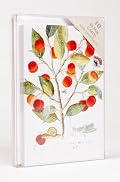The May Cherry Notecards
