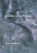 Riddles Of Corrosion