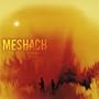 Meshach