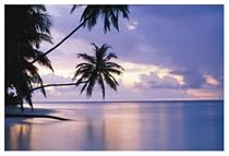Tropical Sunset (Palm Trees Over Water) Art Poster Print - 11" X 14"