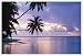 Tropical Sunset (Palm Trees Over Water) Framed Art Poster Print - 11" X 14"