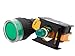 Alpinetech LXG-22 Green 22mm 1NO Momentary Push Button Switch 110V LED Illuminated