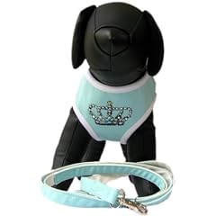 Softgeschirr aqua mit Strass - super weich, hoher Tragekomfort - 2 Gr��en - Dogs Stars
