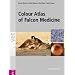 Colour Atlas of Falcon Medicine