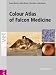 Colour Atlas of Falcon Medicine