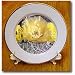 Teddy-Bear Cholla Cactus flowers.(Opuntia bigelovii).Anza-Borrago State Park, California - 8 Inch Porcelain Plate