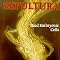 My favourite sepultura cds