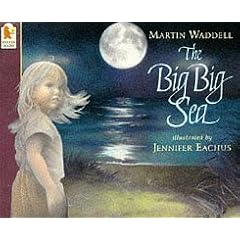 The Big Big Sea