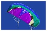 Prism Stylus P.2 Power Kite (Ice)
