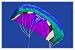 Prism Stylus P.2 Power Kite (Ice)