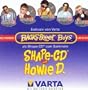 HOWIE D (SHAPED DISC)