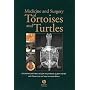 Medicine and Surgery of Tortoises and Turtles