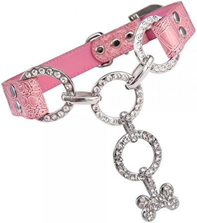Vanderpump Pets Bone Pendant Dog Collar, Small, Pink