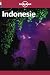 Lonely Planet Indonesie guide de voyage (French Guides)