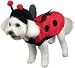 Lovely Ladybug Dog Halloween Costume (Large)