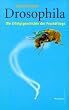 Drosophila