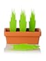 Boska Holland Grass Party Pick Set, Green