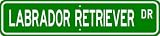 Labrador Retriever STREET SIGN ~ High Quality Aluminum ~ Dog Lover