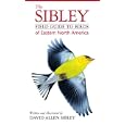 The Sibley Field Guide to Birds of Eastern North America by David Allen Sibley and Rick Cech