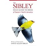 The Sibley Field Guide to Birds of Eastern North America book cover