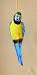 Parrot 3 Dimension Hand Painted Window Indoor Outdoor Ornament