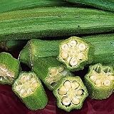 Okra - Cajun Delight Hybrid - 20 Seeds + *Free Seeds*
