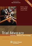 Trial Advocacy: Planning Analysis & Strategy, Third Edition (Aspen Coursebook Series)