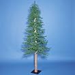 Pack of 2 Natural Alpine Christmas Trees 4' - Unlit