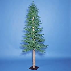 Pack of 2 Natural Alpine Christmas Trees 4' - Unlit
