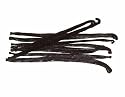 10 Madagascar Vanilla Beans