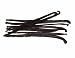 10 Madagascar Vanilla Beans