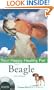 Beagle: Your Happy Healthy Pet